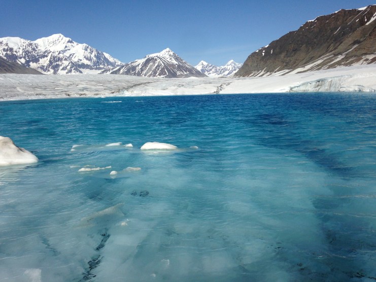 IMG_2844 © 2015 lucas freimuth