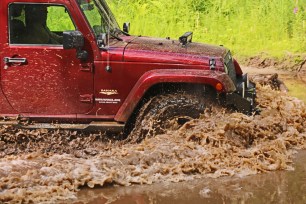 Jeep'n Alaska Water Hole © Cynthia Ryon 2015